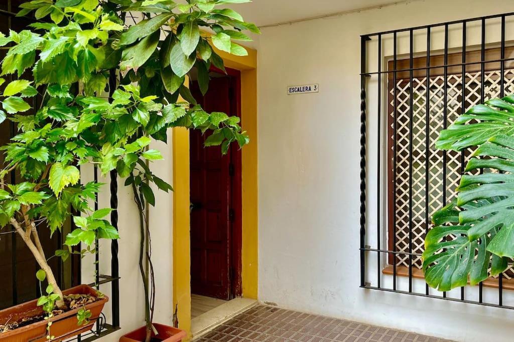 Apartamento Kenza Кордова Экстерьер фото